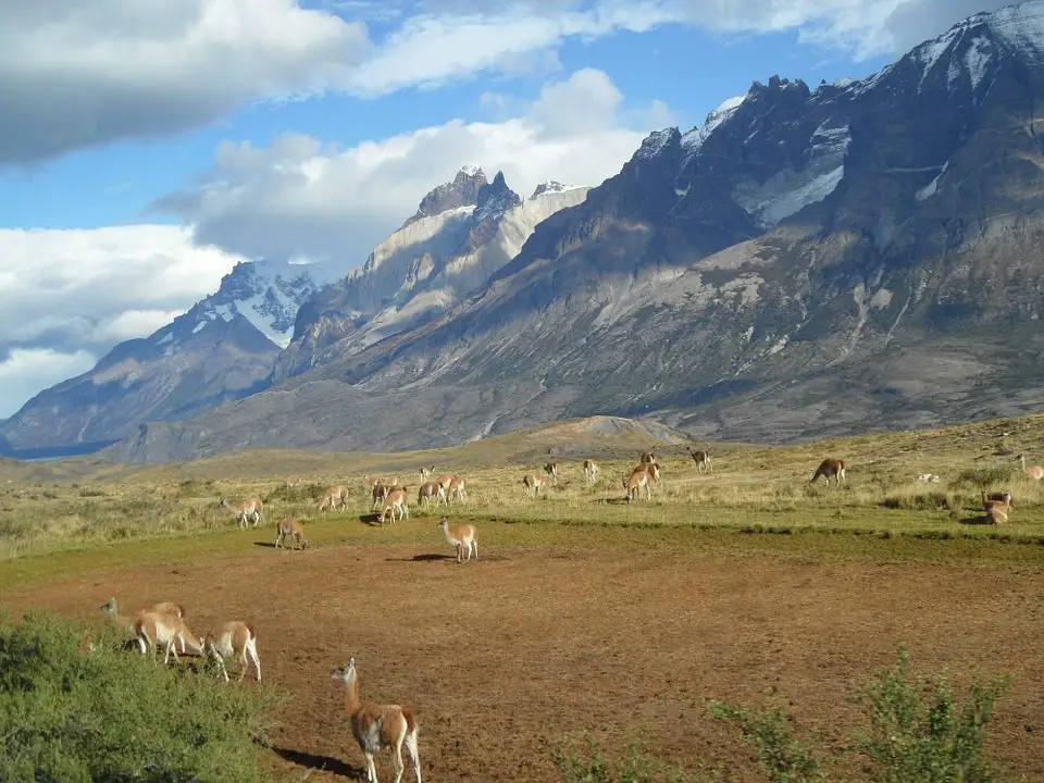 L’intérêt de réaliser entre amis un voyage touristique au Chili