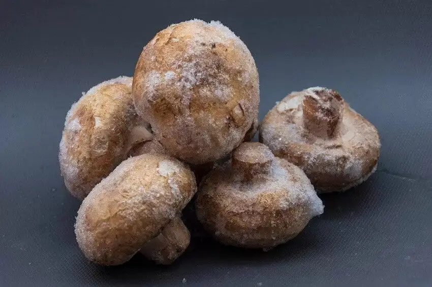 Comment congeler des champignons de Paris sans les blanchir ? MamanSanta