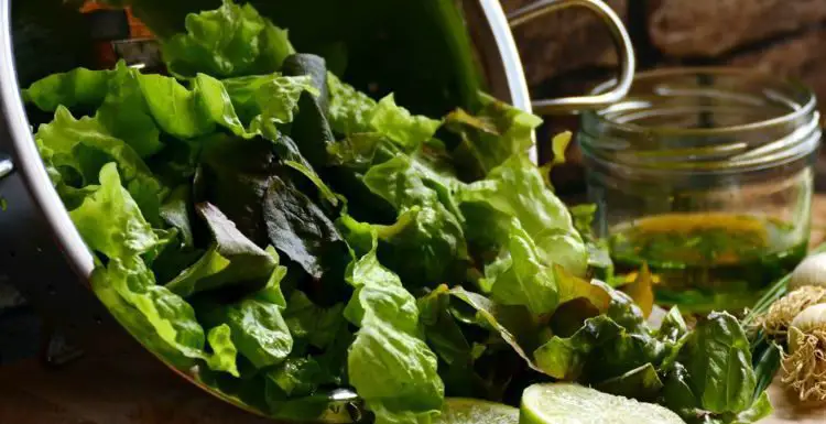 Comment conserver la salade dans un bocal ? 1