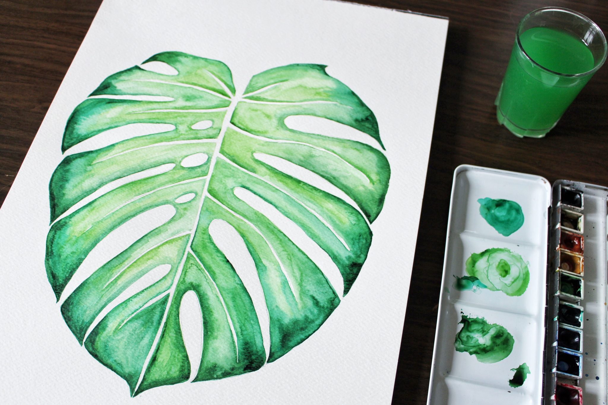 Comment couper une feuille de Monstera ? MamanSanta