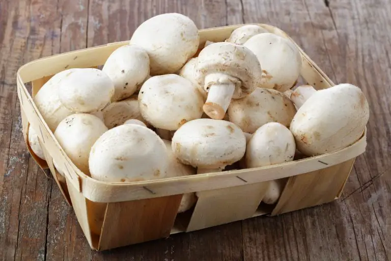 Comment préparer champignons de Paris frais ? MamanSanta