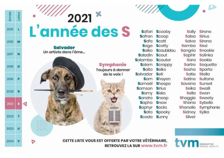 Quelle lettre pour les chat en 2022 ? MamanSanta