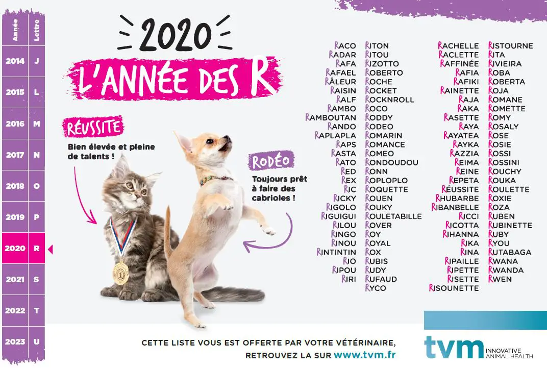 Quelle lettre pour les chats en 2023 ? MamanSanta