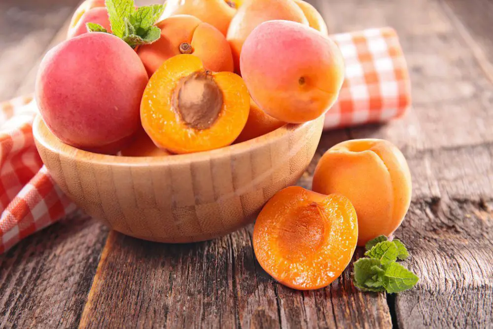Comment conserver des abricots sec ? 1