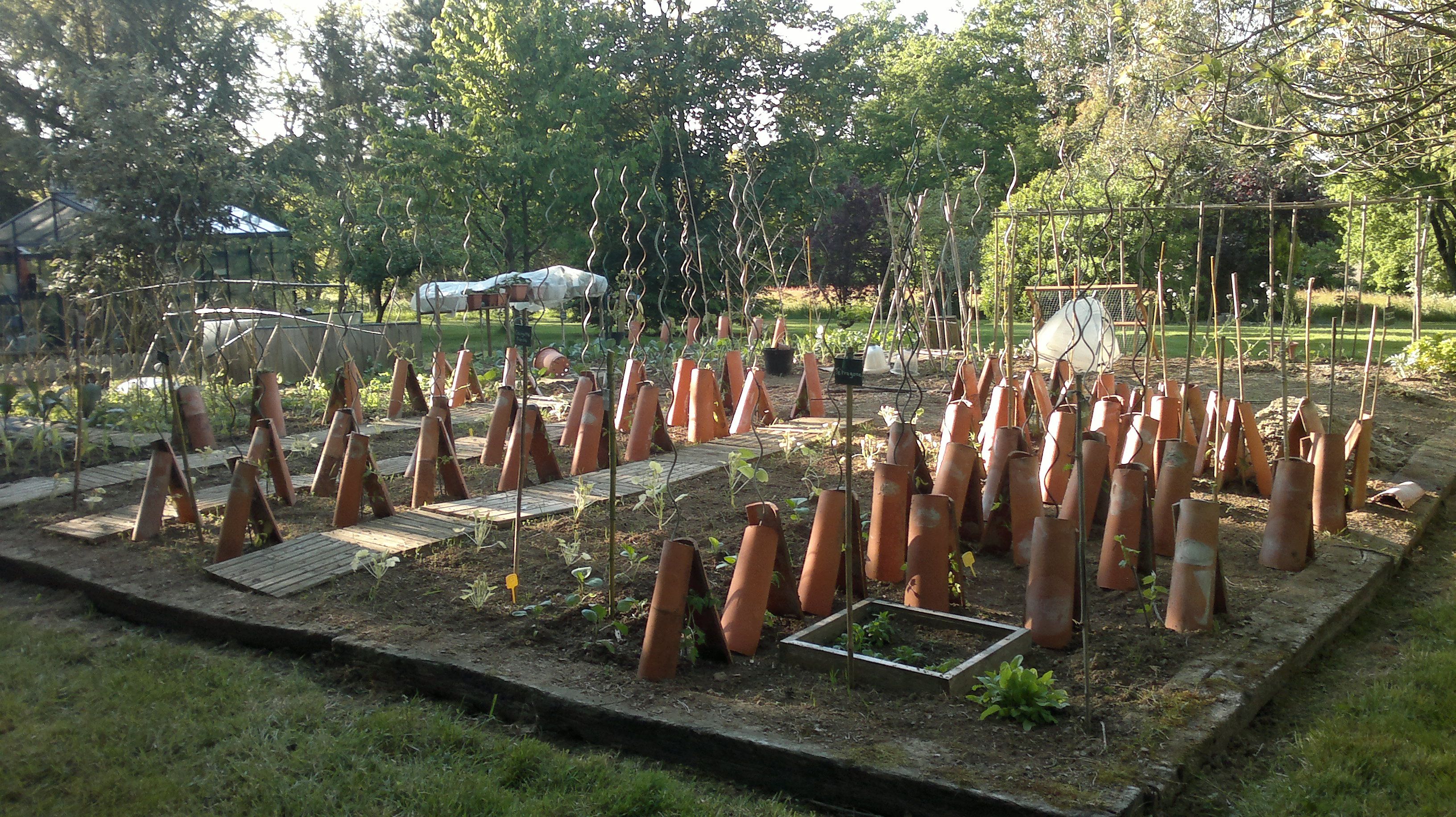 Comment Prot Ger Ses Plants De Tomates Du Froid Mamansanta