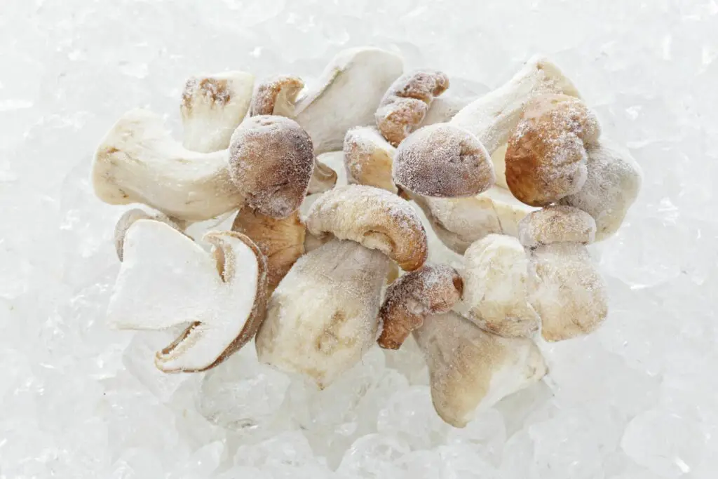 Pourquoi blanchir les champignons avant congélation ? MamanSanta