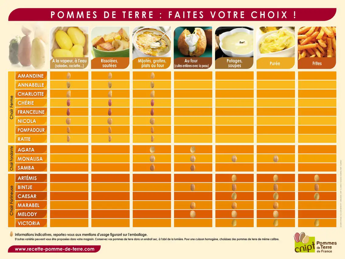 Quelle Variété De Pomme De Terre Pour La Purée ? - MamanSanta