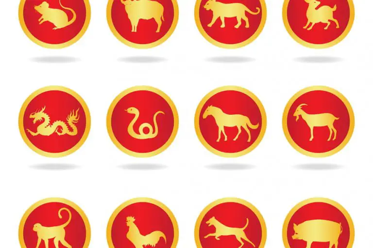 Quels Sont Les Signes Astrologiques Chinois ? MamanSanta
