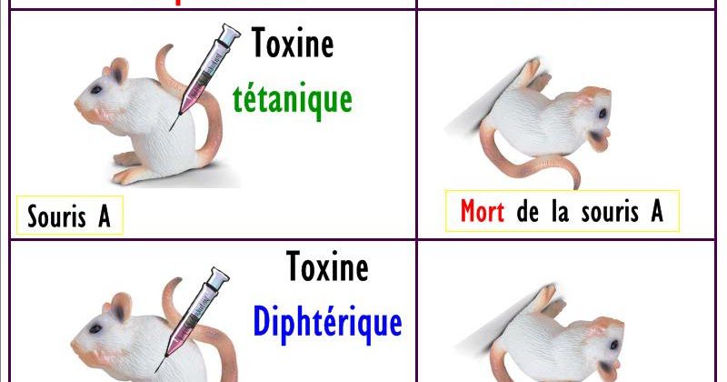 Quels sont les moyens de l’immunité non spécifique ? 1 Quels sont les moyens de l’immunité non spécifique ? 1