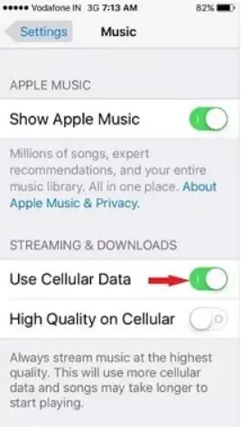 Apple Music Replay 2022 ne fonctionne pas ? 5 méthodes pour réparer 11