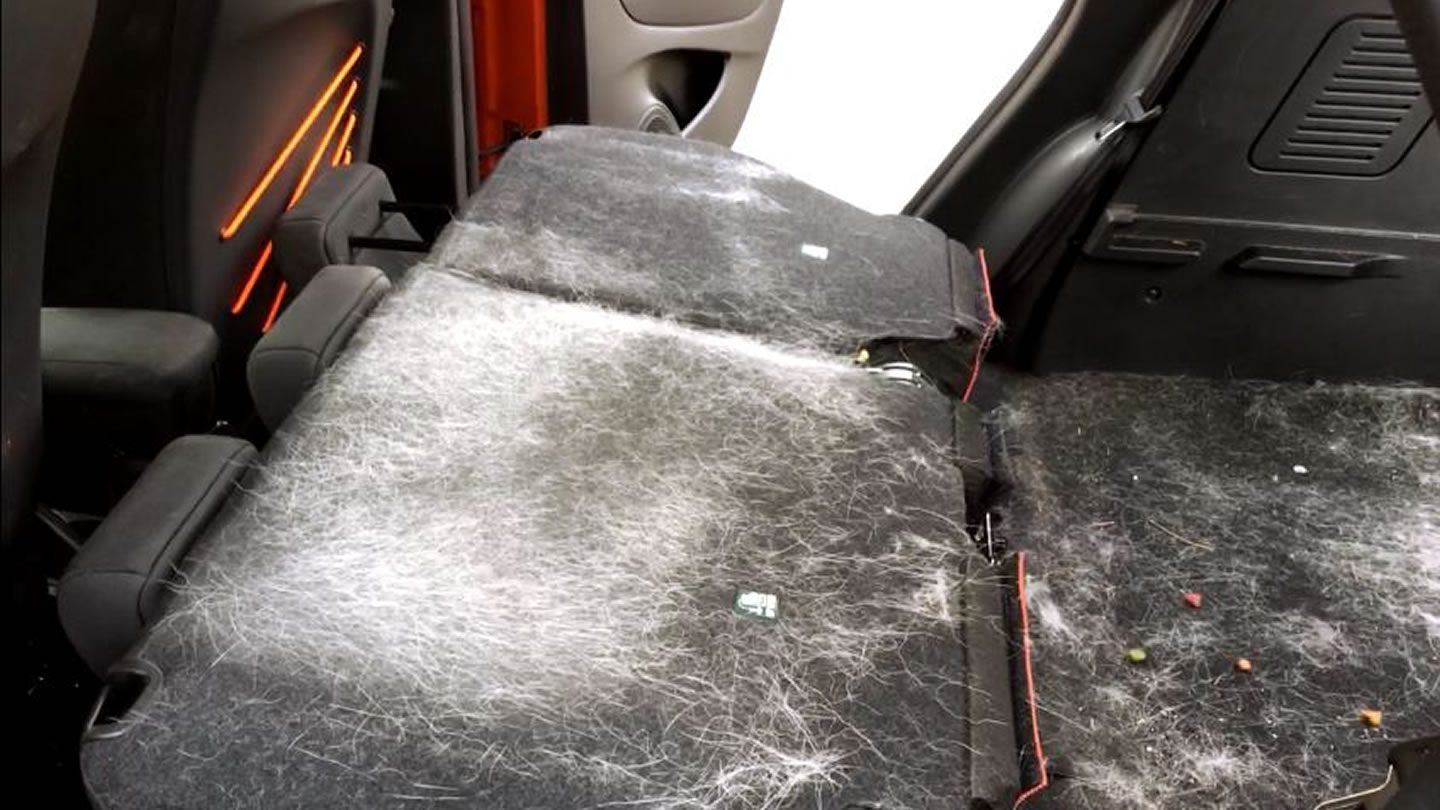 Comment enlever les poils sur une moquette ? 1 Comment enlever les poils sur une moquette ? 1