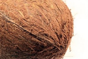 Comment utiliser fibre de coco ?