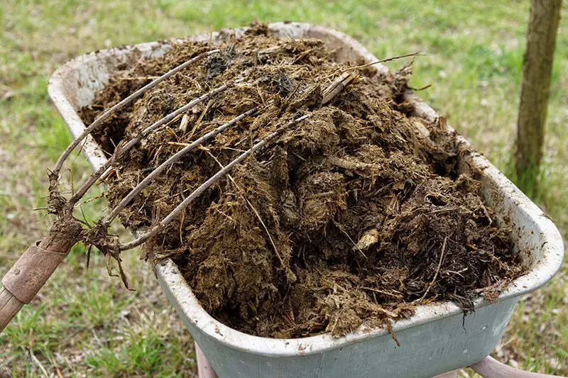 Quand mettre du fumier en granulés dans le jardin ? - MamanSanta