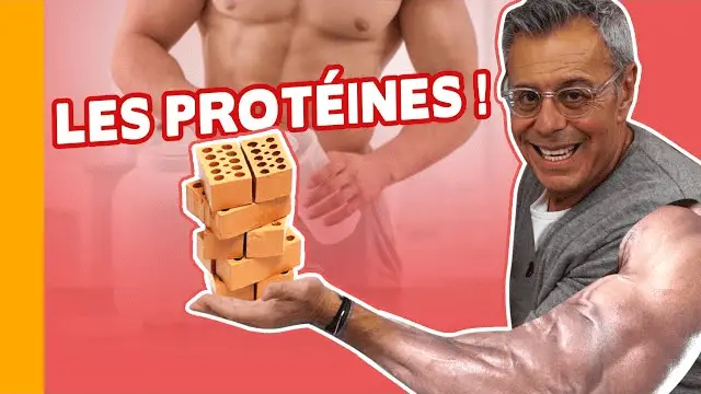 Combien De Proteine Par Jour